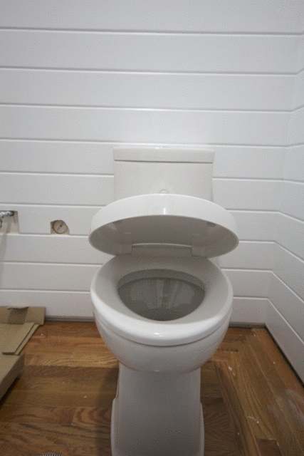 soft-close-toilet-seat 2