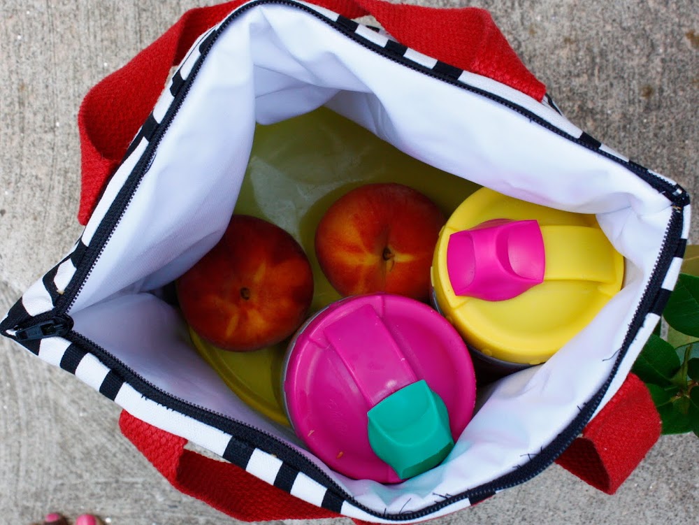 Washable Insulated DIY Lunch Tote